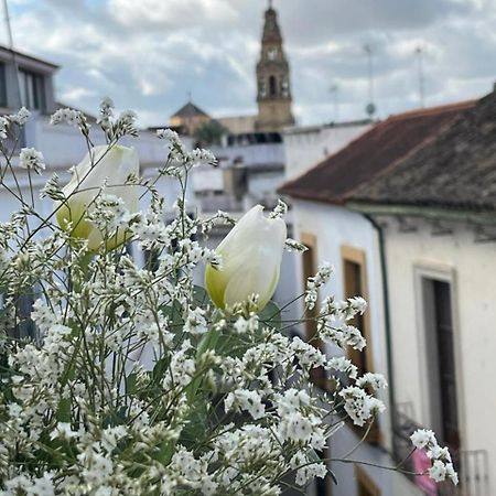 코르도바 El Balcon De La Torre 아파트 외부 사진